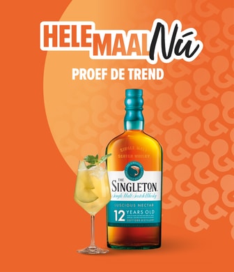 Helemaal nu: singleton
